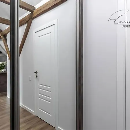 Spacious Sky Carmelite Апартаменты Вильнюс