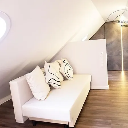 Spacious Sky Carmelite Apartment Vilnius