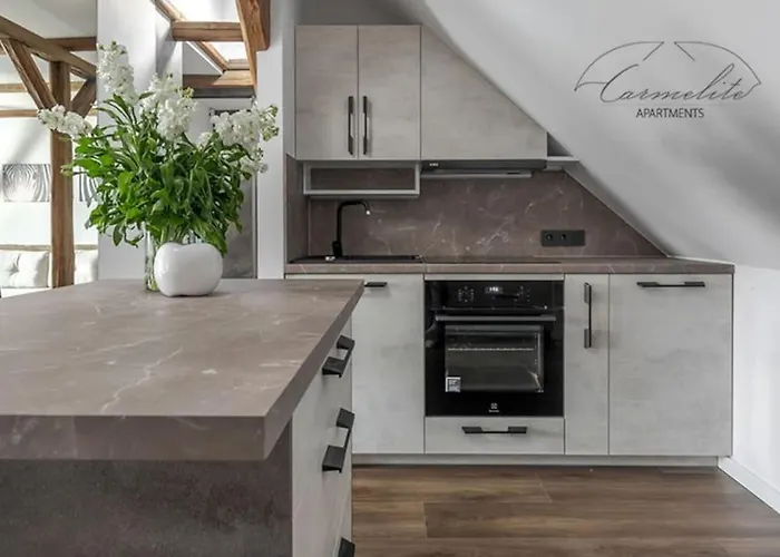 Spacious Sky Carmelite Vilnius