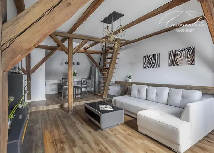 Spacious Sky Carmelite Apartment Vilnius