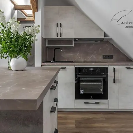 Spacious Sky Carmelite Vilnius