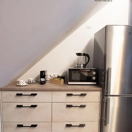 Appartamento Spacious Sky Carmelite Vilnius