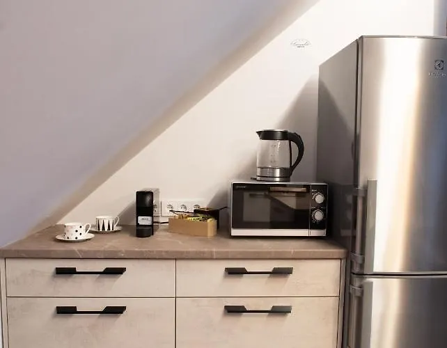 Apartment Spacious Sky Carmelite Wilna